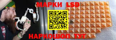 дживик Анжеро-Судженск